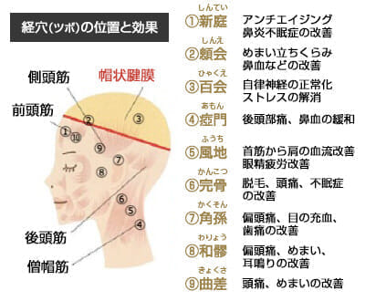 頭のツボ画像